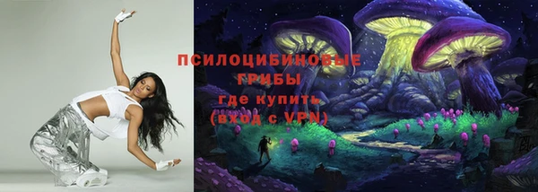 индика Дмитриев