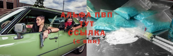 индика Дмитриев