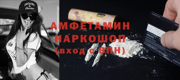 индика Дмитриев