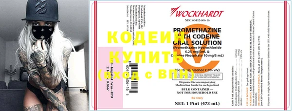 индика Дмитриев