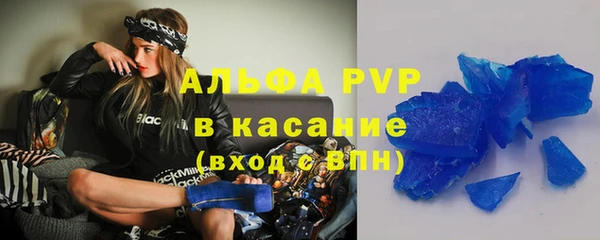 индика Дмитриев