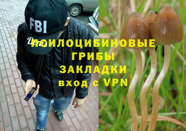 а пвп мука Дмитровск