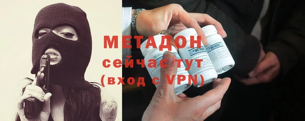 индика Елабуга