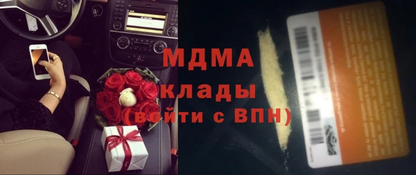 индика Дмитриев
