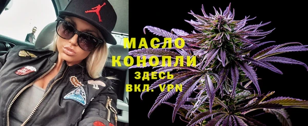 индика Дмитриев