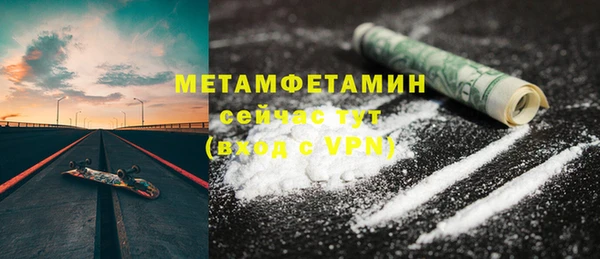 индика Дмитриев