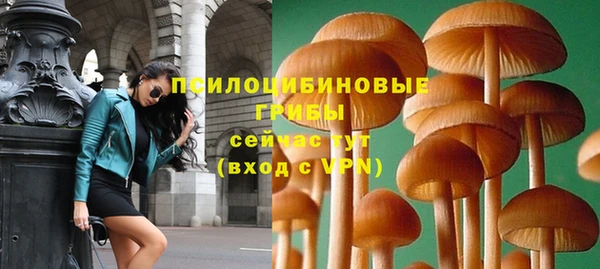 apvp Дмитров