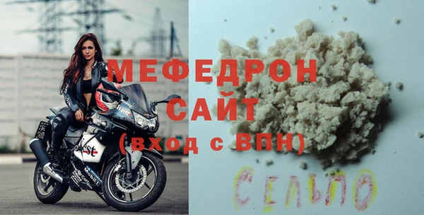 индика Дмитриев