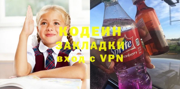 индика Дмитриев