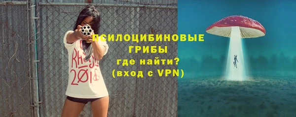 индика Дмитриев