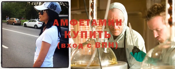 индика Дмитриев