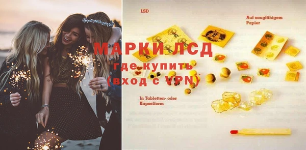 индика Ельня