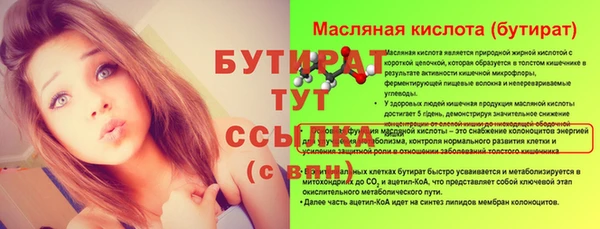 индика Дмитриев