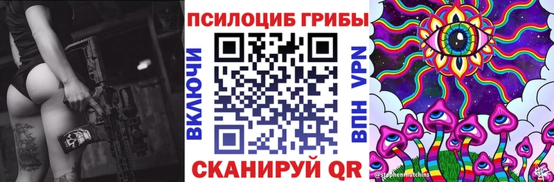 Псилоцибиновые грибы GOLDEN TEACHER наркошоп Киреевск